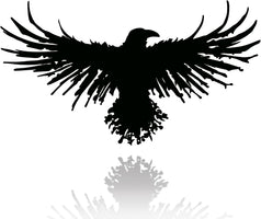 Metal Viking Raven Wall Art Norse Mythology Crow Wall Decor with Gothic Metal Wall Sculpture Suitable for Living Room Bedroom Indoor Outdoor Garden Home